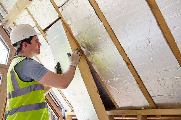 Best Eco-Friendly Insulation in Kronenwetter, WI